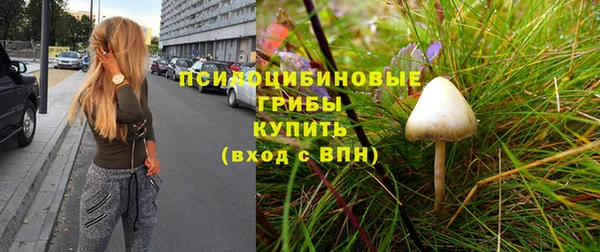 экстази Горнозаводск