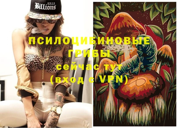 apvp Щучье