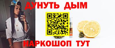 гидра Дубна