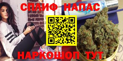 гидра Дубна