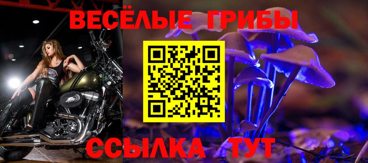Галлюциногенные грибы Magic Shrooms  Вход с VPN  Отрадный  Галлюциногенные грибы прущие грибы 