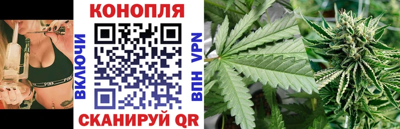 Шишки марихуана семена  Отрадный 